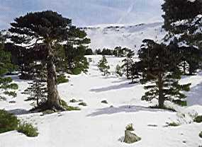 Sierra de la Demanda